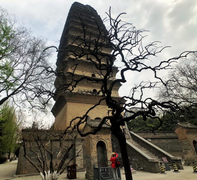 57154646 2088579087936817 1368605635406462976 n 768x701