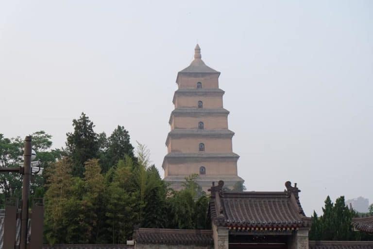 58382652 10156919474120734 5085145483513430016 n 768x512