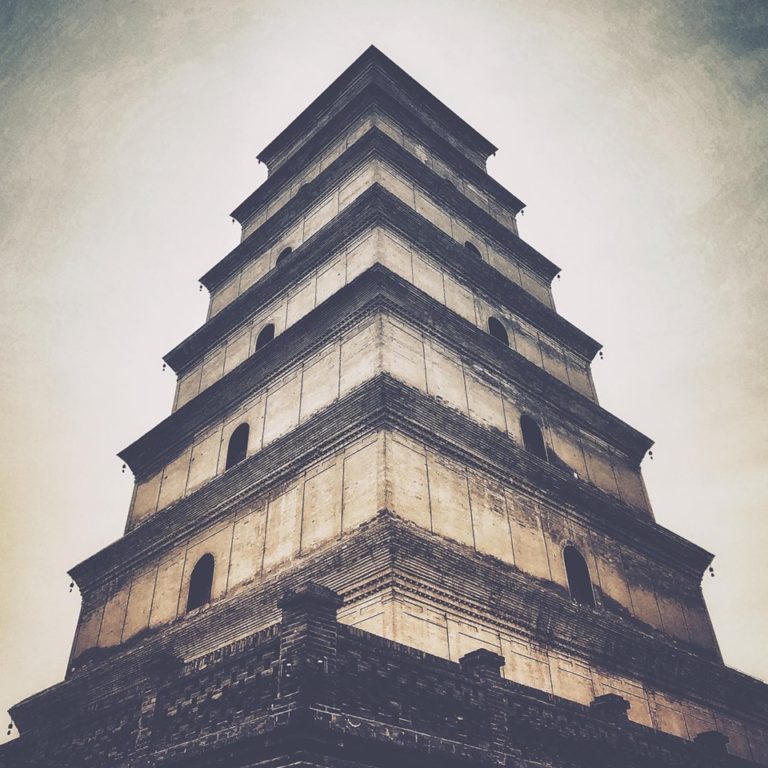 65392615 2533664633334222 2432498188863668224 n 768x768