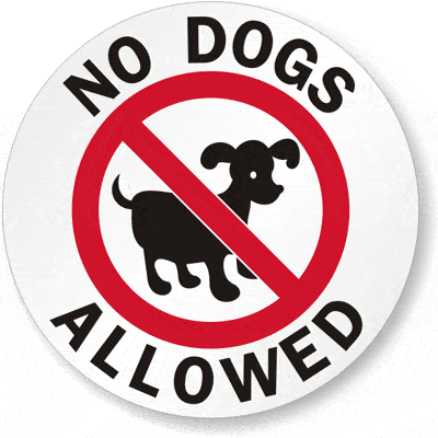 no-dogs-allowed
