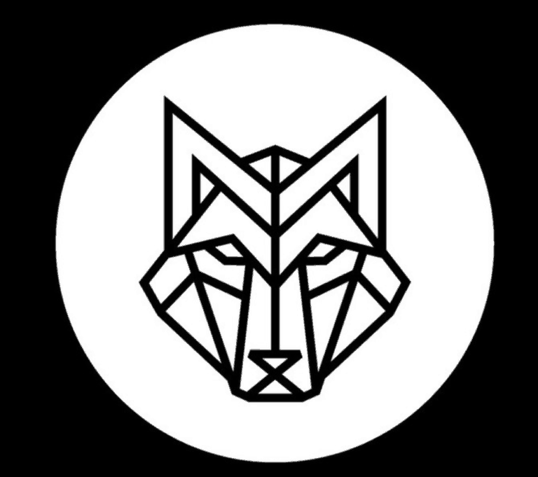 mojar hey xian 1 768x681