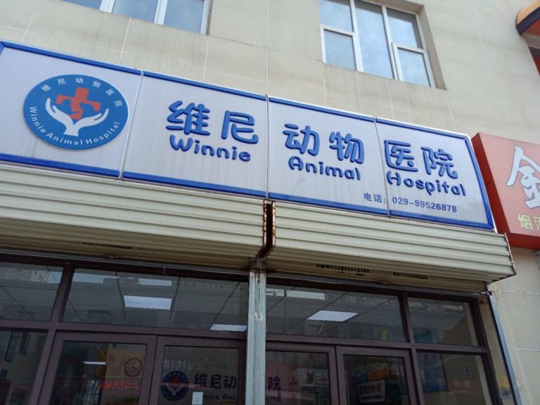 winnie animal hospital hey xian 2 768x576